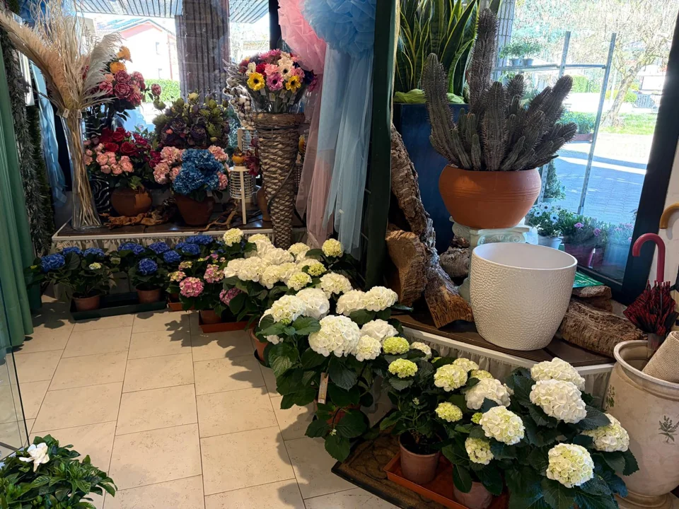 Ortensie e oggettistica in un angolo del negozio