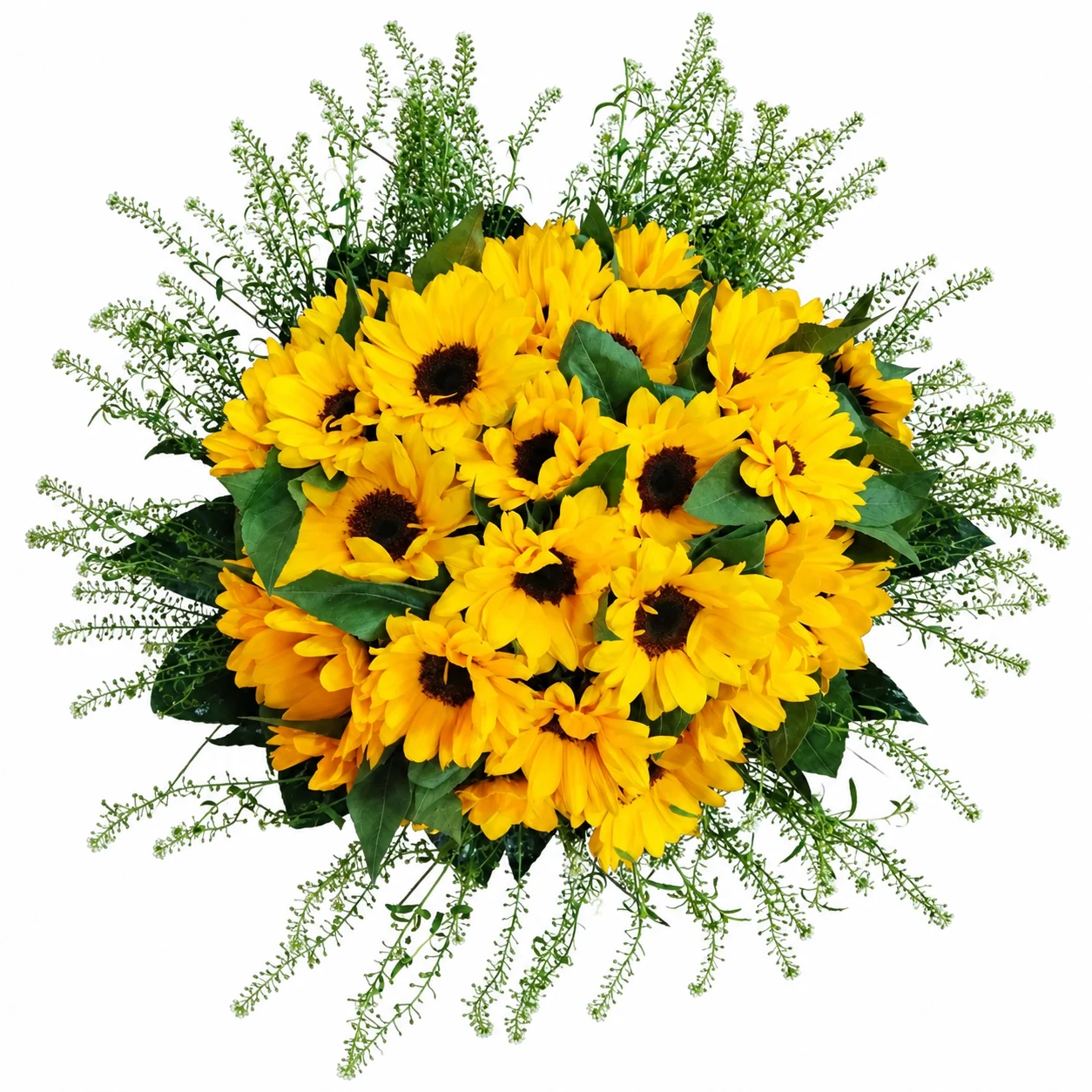 Mazzo di girasoli, vista dall’alto illustrativa